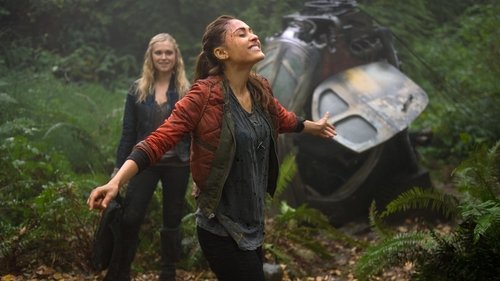 5. Bölüm