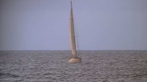 22. Bölüm